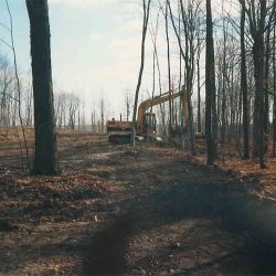 Dundee Golf Club