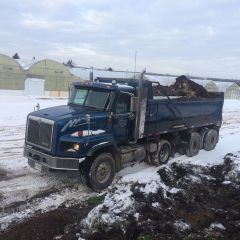 Dump Trucks Mississauga