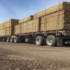 Transport Trucks